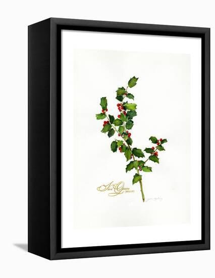 Holly Botanical, 2013-John Keeling-Framed Premier Image Canvas