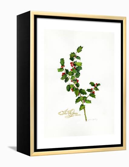 Holly Botanical, 2013-John Keeling-Framed Premier Image Canvas