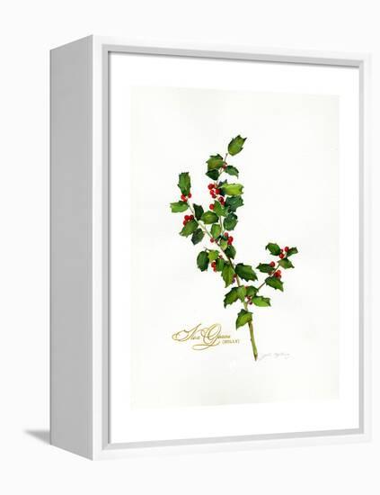 Holly Botanical, 2013-John Keeling-Framed Premier Image Canvas