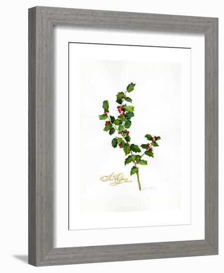 Holly Botanical, 2013-John Keeling-Framed Giclee Print