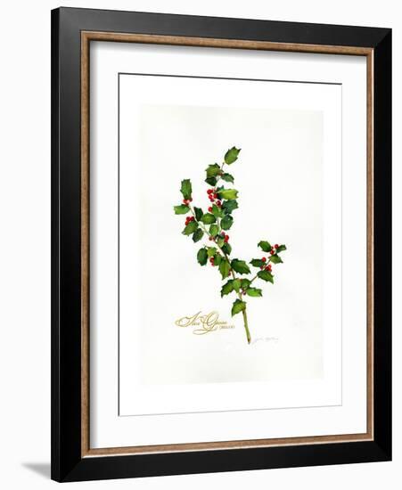 Holly Botanical, 2013-John Keeling-Framed Giclee Print