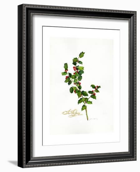 Holly Botanical, 2013-John Keeling-Framed Giclee Print