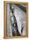 Holly Hill, Hampstead London, 1948-Staff-Framed Premier Image Canvas