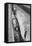 Holly Hill, Hampstead London, 1948-Staff-Framed Premier Image Canvas