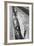 Holly Hill, Hampstead London, 1948-Staff-Framed Photographic Print