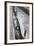 Holly Hill, Hampstead London, 1948-Staff-Framed Photographic Print