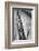 Holly Hill, Hampstead London, 1948-Staff-Framed Photographic Print