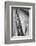 Holly Hill, Hampstead London, 1948-Staff-Framed Photographic Print