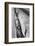 Holly Hill, Hampstead London, 1948-Staff-Framed Photographic Print