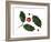 Holly Leaves and Berries, Belgium-Philippe Clement-Framed Photographic Print