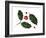 Holly Leaves and Berries, Belgium-Philippe Clement-Framed Photographic Print