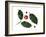 Holly Leaves and Berries, Belgium-Philippe Clement-Framed Photographic Print