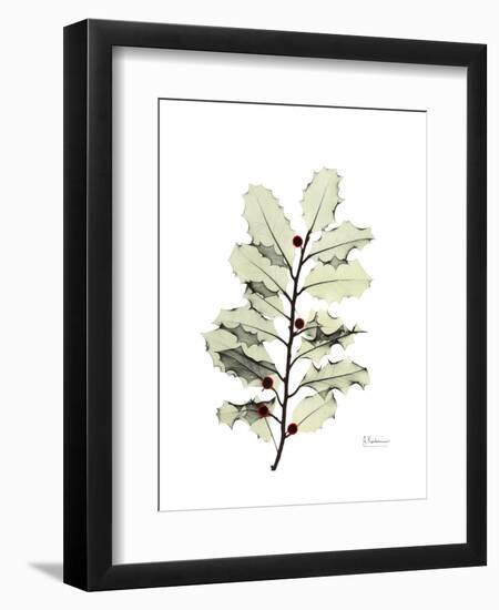 Holly Portrait-Albert Koetsier-Framed Premium Giclee Print