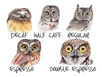 Owl Caffeine Meter-Holly Simental-Premium Giclee Print