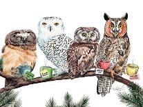 Owl Caffeine Meter-Holly Simental-Premium Giclee Print