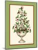 Holly Tree Topiary-Robin Betterley-Mounted Giclee Print