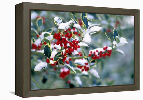 Holly-Dr^ Keith-Framed Premier Image Canvas