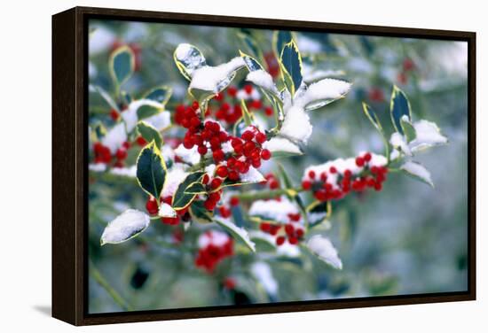 Holly-Dr^ Keith-Framed Premier Image Canvas