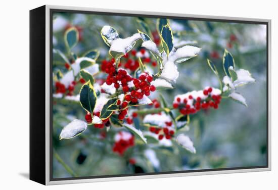 Holly-Dr^ Keith-Framed Premier Image Canvas