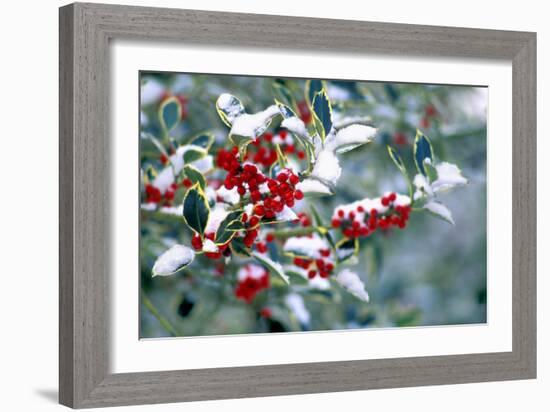 Holly-Dr^ Keith-Framed Photographic Print