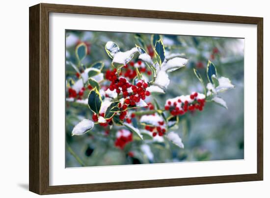 Holly-Dr^ Keith-Framed Photographic Print