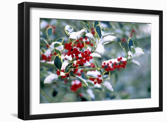 Holly-Dr^ Keith-Framed Photographic Print