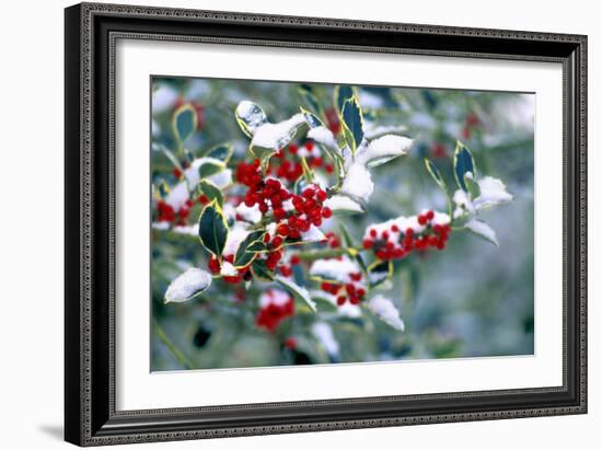 Holly-Dr^ Keith-Framed Photographic Print