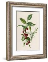 Holly-F. Edward Hulme-Framed Photographic Print