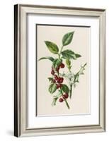 Holly-F. Edward Hulme-Framed Photographic Print