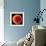 Hollyhock Pollen-Dr^ Jeremy-Framed Premium Photographic Print displayed on a wall