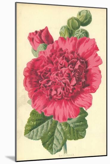 Hollyhock-Frederick Edward Hulme-Mounted Giclee Print