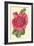 Hollyhock-Frederick Edward Hulme-Framed Giclee Print