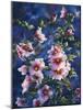 Hollyhocks and Hummingbirds-Jeff Tift-Mounted Giclee Print