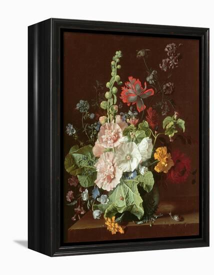 Hollyhocks and Other Flowers in a Vase, 1702-20-Jan van Huysum-Framed Premier Image Canvas