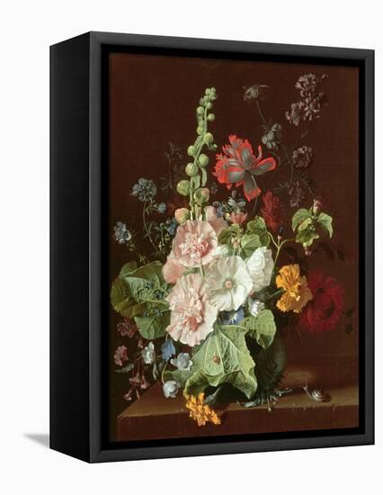 Hollyhocks and Other Flowers in a Vase, 1702-20-Jan van Huysum-Framed Premier Image Canvas