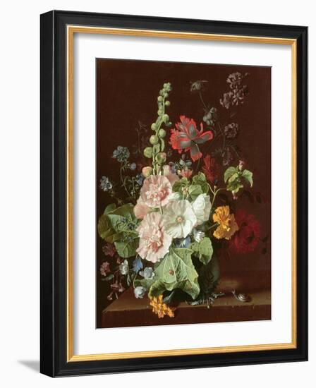 Hollyhocks and Other Flowers in a Vase, 1702-20-Jan van Huysum-Framed Giclee Print