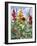 Hollyhocks and Sunflowers, 2005-Christopher Ryland-Framed Giclee Print