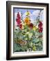 Hollyhocks and Sunflowers, 2005-Christopher Ryland-Framed Giclee Print