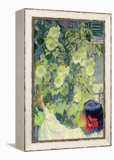 Hollyhocks, C.1923-Philip Leslie Hale-Framed Premier Image Canvas