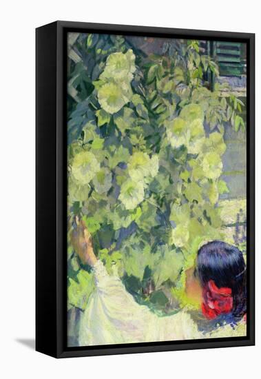 Hollyhocks, C.1923-Philip Leslie Hale-Framed Premier Image Canvas