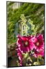Hollyhocks flowers blooming in Provence region of Southern France.-Michele Niles-Mounted Photographic Print