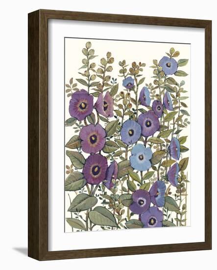 Hollyhocks in Bloom I-Tim O'toole-Framed Art Print