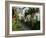 Hollyhocks Lining a Street with a Well, La Flotte, Ile De Re, Charente-Maritime, France, Europe-Richardson Peter-Framed Photographic Print