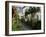 Hollyhocks Lining a Street with a Well, La Flotte, Ile De Re, Charente-Maritime, France, Europe-Richardson Peter-Framed Photographic Print