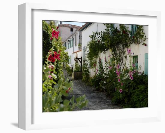 Hollyhocks Lining a Street with a Well, La Flotte, Ile De Re, Charente-Maritime, France, Europe-Richardson Peter-Framed Photographic Print