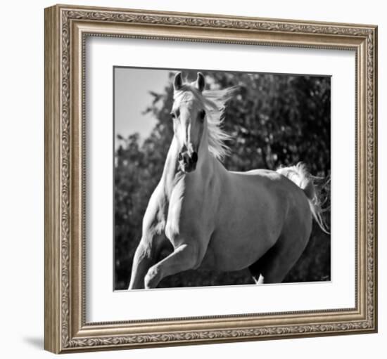 Hollywood (b & w)-Barry Hart-Framed Art Print