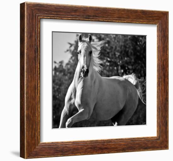 Hollywood (b & w)-Barry Hart-Framed Art Print