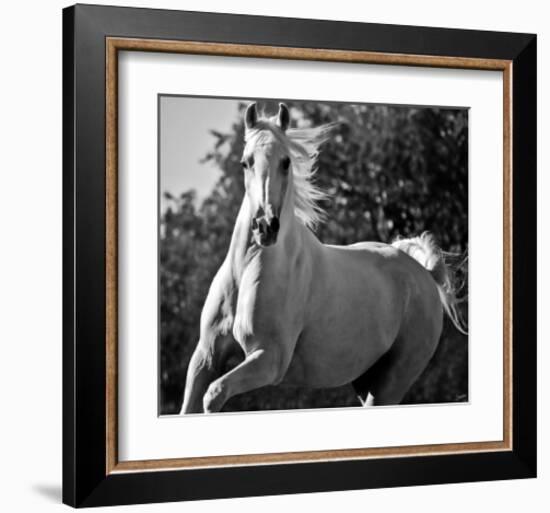 Hollywood (b & w)-Barry Hart-Framed Art Print