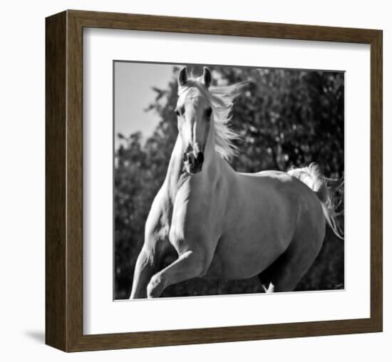 Hollywood (b & w)-Barry Hart-Framed Art Print