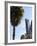 Hollywood Boulevard, Los Angeles, California, United States of America, North America-Wendy Connett-Framed Photographic Print